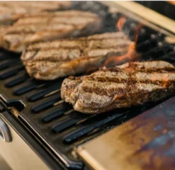 Masterbuilt Portable Charcoal Grill -Big Green Egg Verkoopwinkel image 948